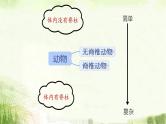 人教版八年级上册生物期末总复习课件