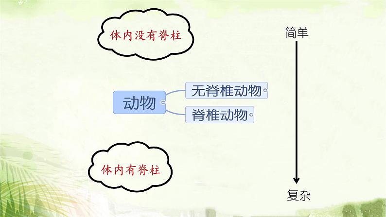 人教版八年级上册生物期末总复习课件第4页