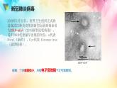人教版八年级下册生物第八单元 健康的生活 复习课件
