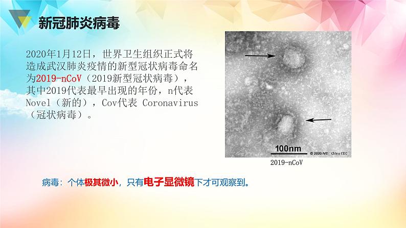 人教版八年级下册生物第八单元 健康的生活 复习课件第2页