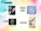 人教版八年级下册生物第八单元 健康的生活 复习课件