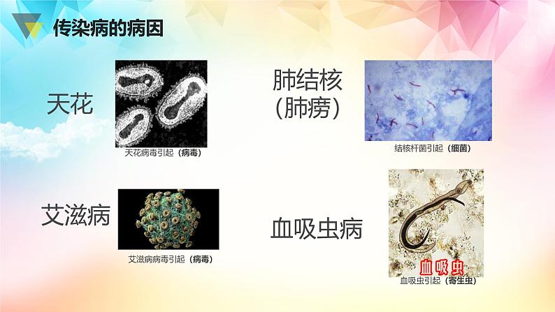 人教版八年级下册生物第八单元 健康的生活 复习课件第3页