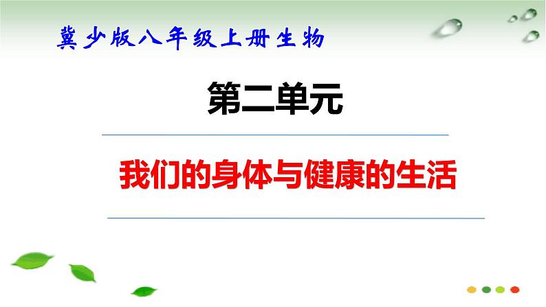 冀少版生物八年级上册第二单元 我们的身体与健康的生活 复习课件第1页