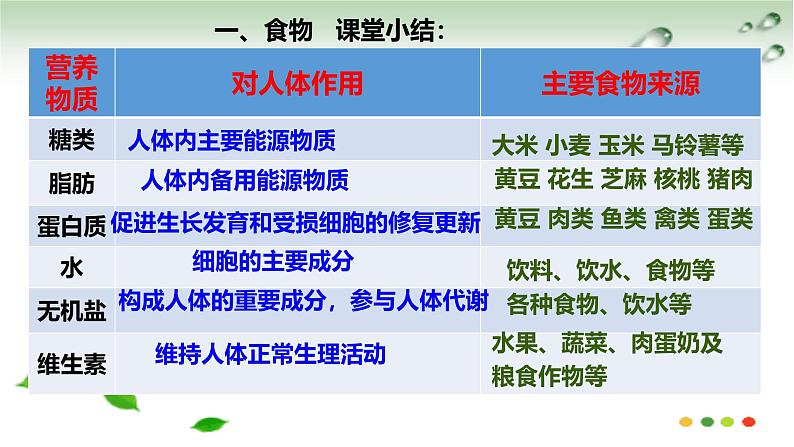 冀少版生物八年级上册第二单元 我们的身体与健康的生活 复习课件第2页