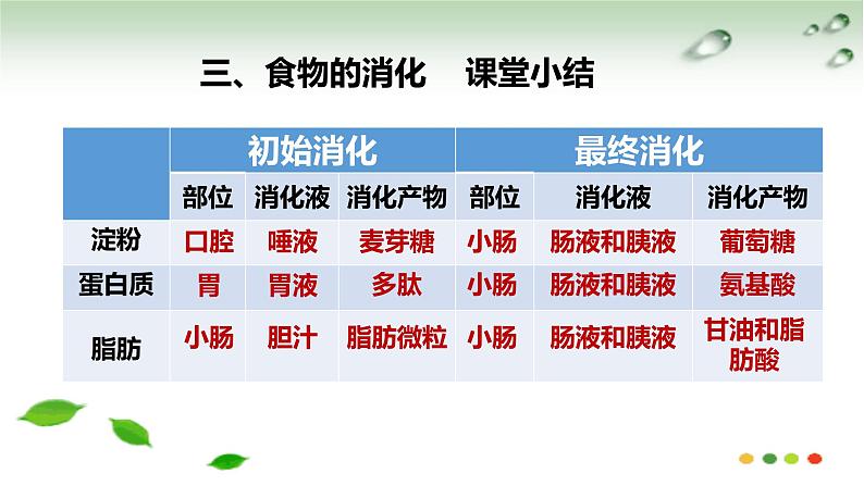 冀少版生物八年级上册第二单元 我们的身体与健康的生活 复习课件第5页