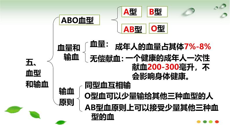 冀少版生物八年级上册第二单元 我们的身体与健康的生活 复习课件第7页