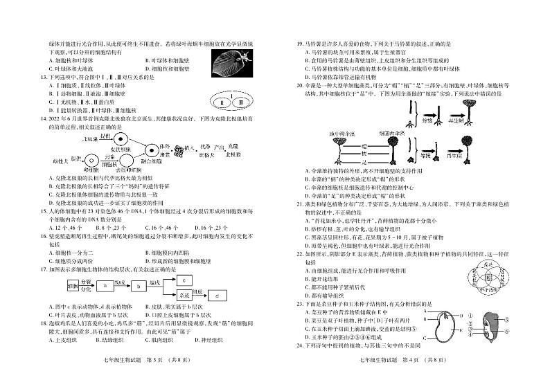 （教研室提供）山东省临沂市河东区2024-2025学年七年级上学期期中考试生物试题第2页