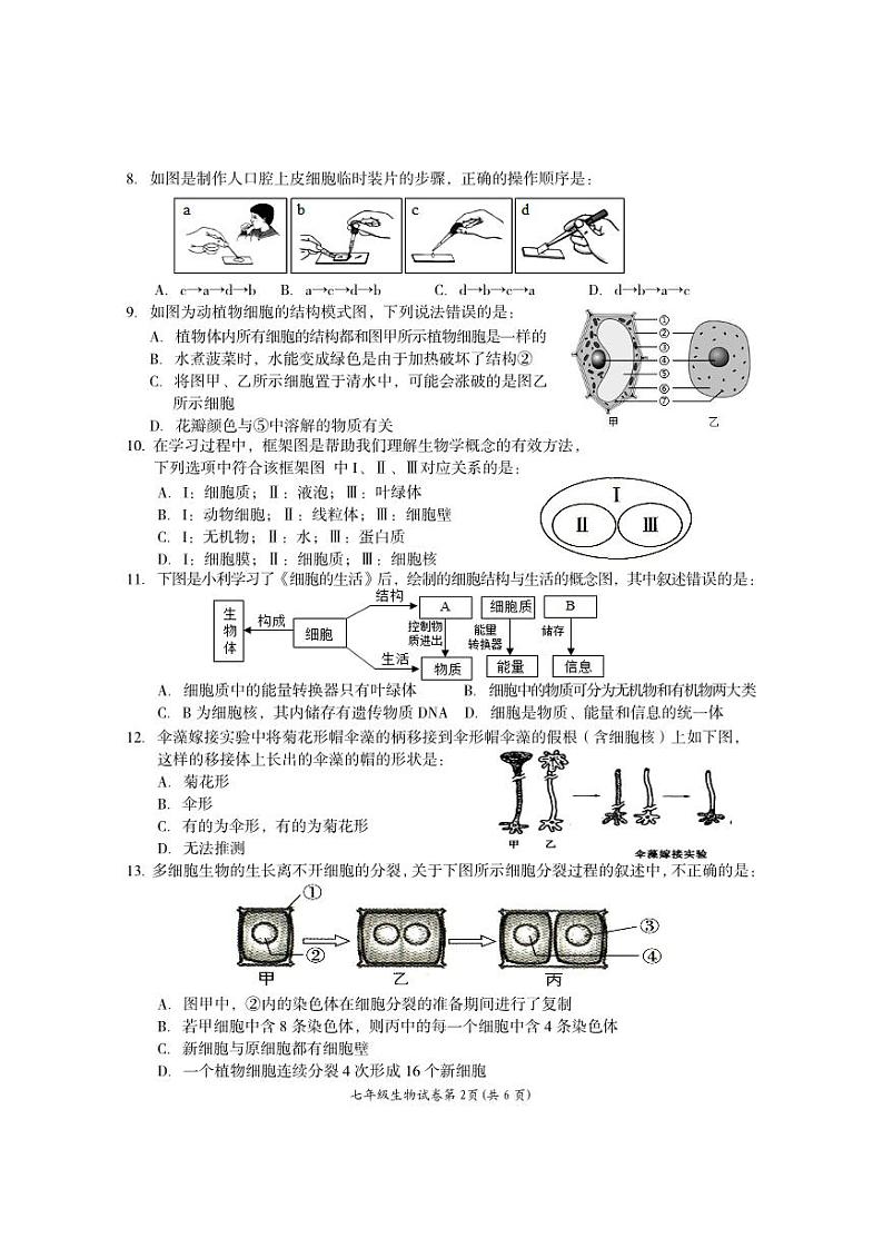 7生物试题第2页