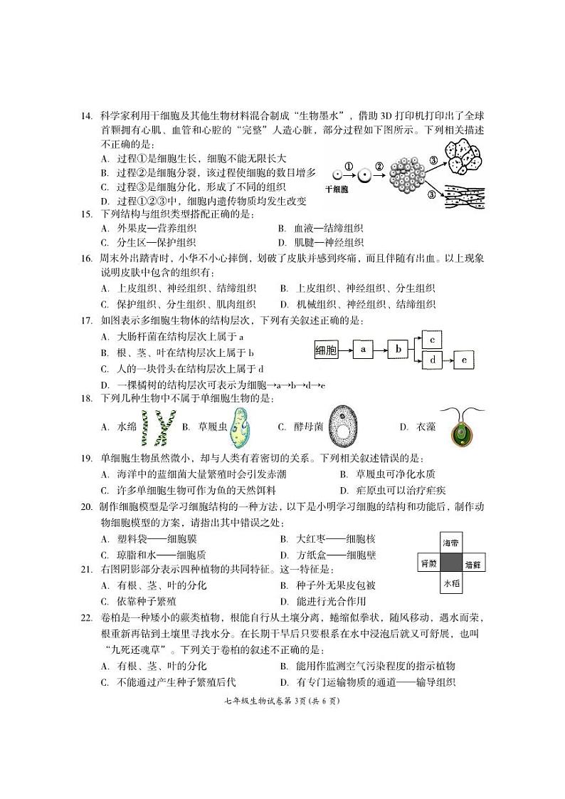 7生物试题第3页