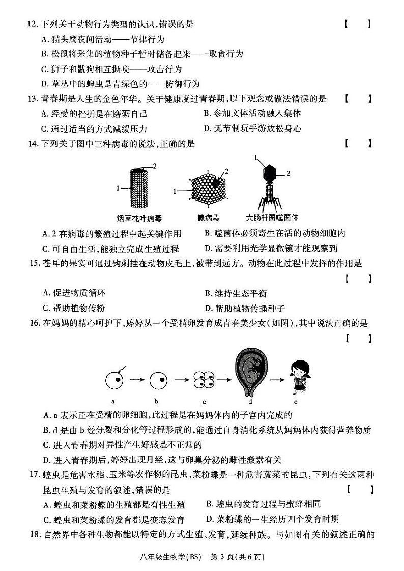 河南省驻马店市泌阳县部分中学2024-2025学年八年级上学期12月月考生物试题第3页