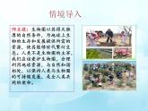 3.7.1人類對生物圈的影響課件-2023-2024學(xué)年濟(jì)南版生物七年級下冊