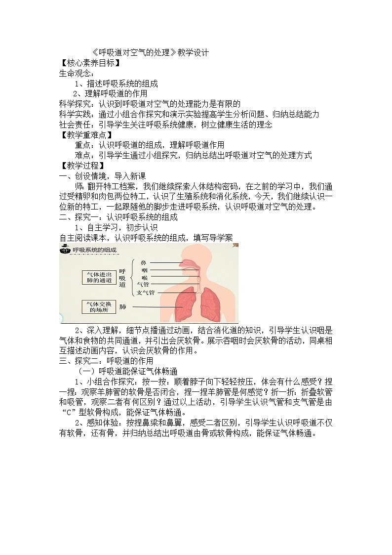 4.3.1呼吸道对空气的处理教案2023-2024学年鲁教版五四制七年级生物上册第1页