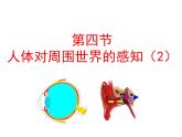 5.4人体对周围世界的感知-耳课件-2023-2024学年济南版初中生物七年级下册