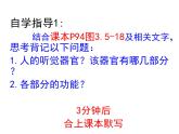5.4人体对周围世界的感知-耳课件-2023-2024学年济南版初中生物七年级下册