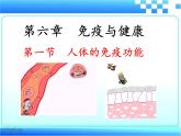 3.6.1 人体的免疫功能  课件-2023-2024学年济南版生物七年级下册