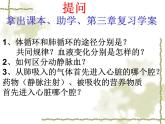 3.3.4关注心血管健康课件-2023-2024学年济南版生物七年级下册