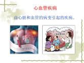 3.3.4关注心血管健康课件-2023-2024学年济南版生物七年级下册
