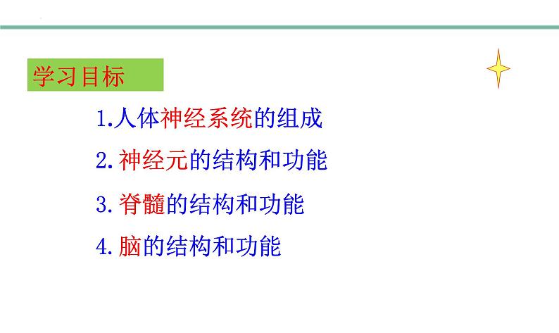 3.5.2神经调节的结构基础课件-2023-2024学年济南版生物七年级下册第2页