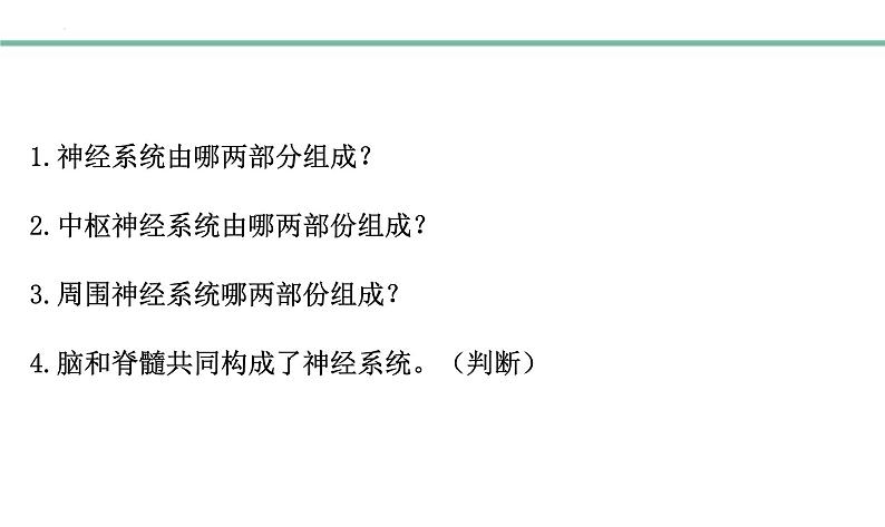 3.5.2神经调节的结构基础课件-2023-2024学年济南版生物七年级下册第4页