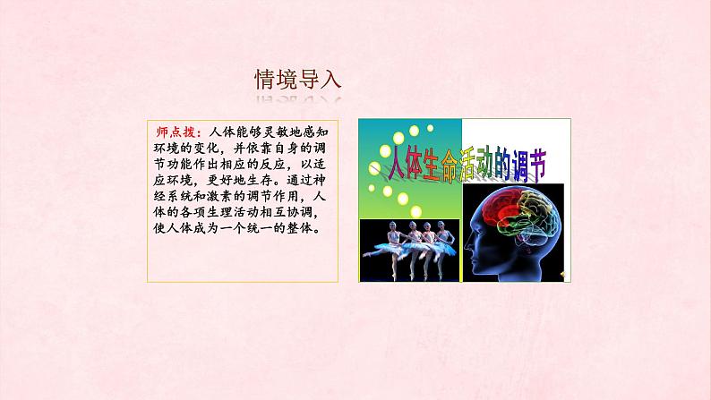 3.5人体生命活动的调节复习课件-2023-2024学年济南版生物七年级下册第1页