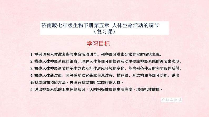 3.5人体生命活动的调节复习课件-2023-2024学年济南版生物七年级下册第2页