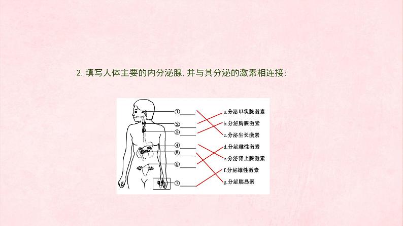 3.5人体生命活动的调节复习课件-2023-2024学年济南版生物七年级下册第6页