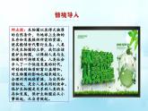 3.7人在生物圈中的作用复习课件-2023-2024学年济南版生物七年级下册
