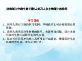 3.7人在生物圈中的作用复习课件-2023-2024学年济南版生物七年级下册