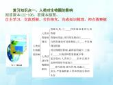 3.7人在生物圈中的作用复习课件-2023-2024学年济南版生物七年级下册
