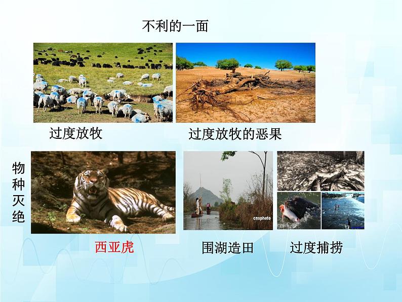 3.7人在生物圈中的作用复习课件-2023-2024学年济南版生物七年级下册第7页