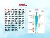 3.6复习免疫与健康课件-2023-2024学年济南版生物七年级下册