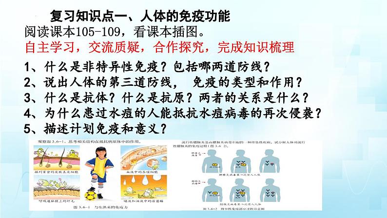 3.6复习免疫与健康课件-2023-2024学年济南版生物七年级下册第3页