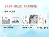 3.6复习免疫与健康课件-2023-2024学年济南版生物七年级下册