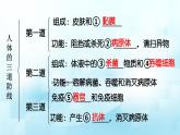 3.6复习免疫与健康课件-2023-2024学年济南版生物七年级下册