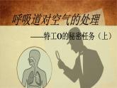 4.3.1呼吸道对空气的处理教学课件-2023-2024学年鲁教版五四制七年级生物上册