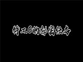 4.3.1呼吸道对空气的处理教学课件-2023-2024学年鲁教版五四制七年级生物上册