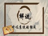 4.3.1呼吸道对空气的处理教学课件-2023-2024学年鲁教版五四制七年级生物上册