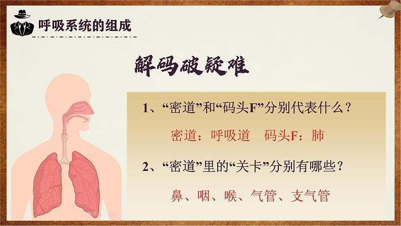 4.3.1呼吸道对空气的处理教学课件-2023-2024学年鲁教版五四制七年级生物上册第7页