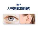 5.4人体对周围世界的感知课件2023--2024学年济南版生物七年级下册