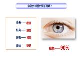 5.4人体对周围世界的感知课件2023--2024学年济南版生物七年级下册