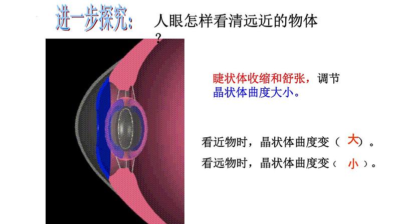 5.4人体对周围世界的感知课件2023--2024学年济南版生物七年级下册第7页