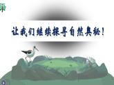 6.2.3能量流动和物质循环课件-2023-2024学年济南版八年级生物下册