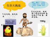 6.2.3能量流动和物质循环课件-2023-2024学年济南版八年级生物下册