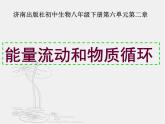 6.2.3能量流动和物质循环课件-2023-2024学年济南版八年级生物下册