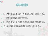 6.2.3能量流动和物质循环课件-2023-2024学年济南版八年级生物下册
