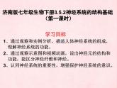 3.5.2神经调节的结构基础（第一课时）课件-2023-2024学年济南版生物七年级下册