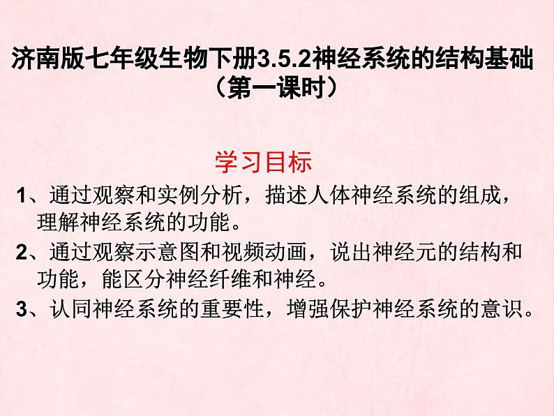 3.5.2神经调节的结构基础（第一课时）课件-2023-2024学年济南版生物七年级下册第2页