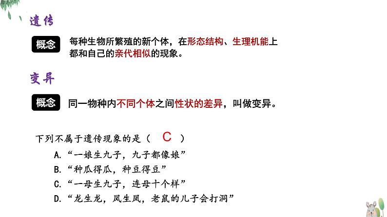 7.2生物的遗传与变异复习课件-2023-2024学年人教版生物八年级下册第3页