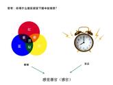 4.6.1  人体对外界环境的感知  课件-2023-2024学年人教版生物七年级下册