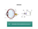 4.6.1  人体对外界环境的感知  课件-2023-2024学年人教版生物七年级下册